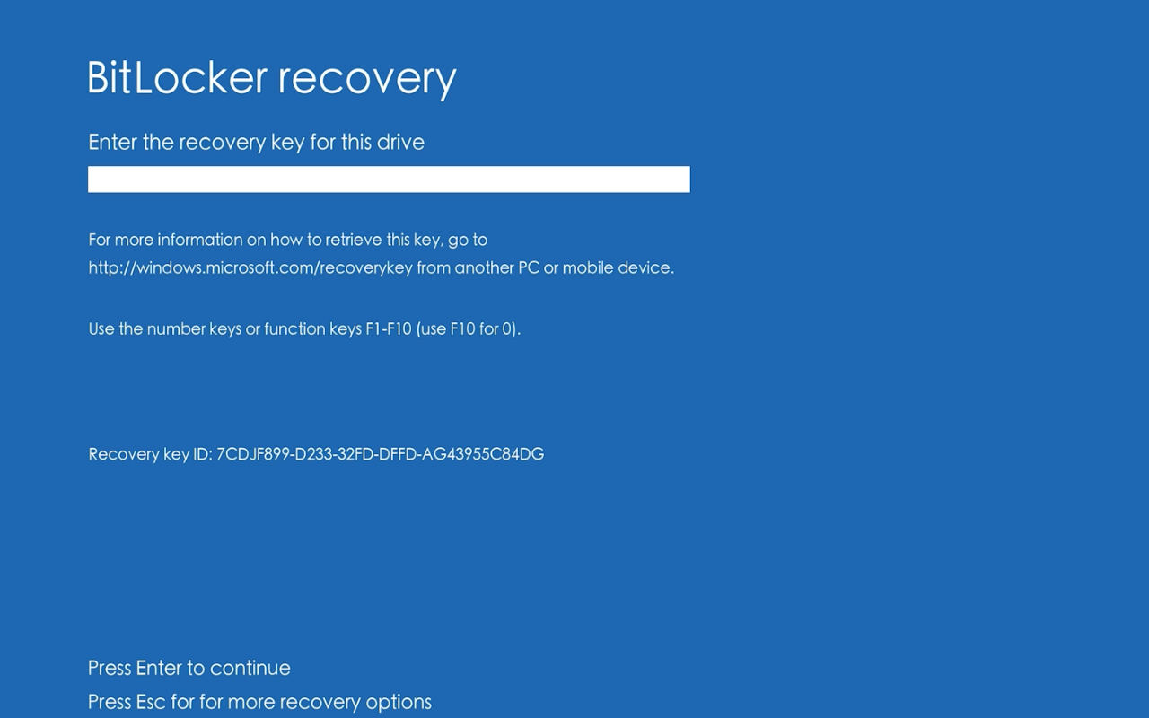 BitLocker回復キー入力画面