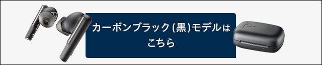 カーボンブラック（黒）モデルはこちら