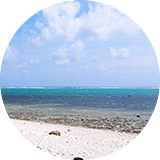 WWF石垣島サンゴ礁保護研究センター