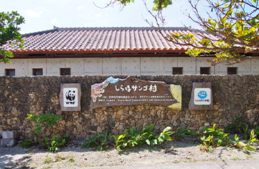 WWF ジャパン（世界自然保護基金）サンゴ礁保護研究センター「しらほサンゴ村」