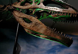 Beyond Digital Imaging社とHPにより、恐竜をよみがえらせる - ロイヤルオンタリオ博物館
