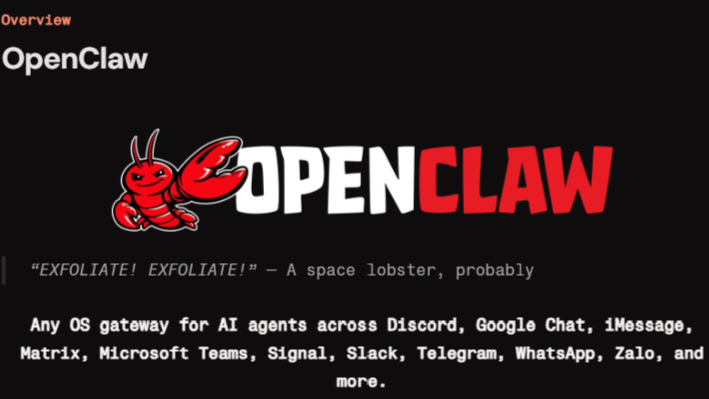 OpenClaw 公式 Overview ページのタイトルビジュアル (出典：OpenClaw 公式ドキュメント)