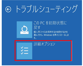 「詳細オプション」を選択